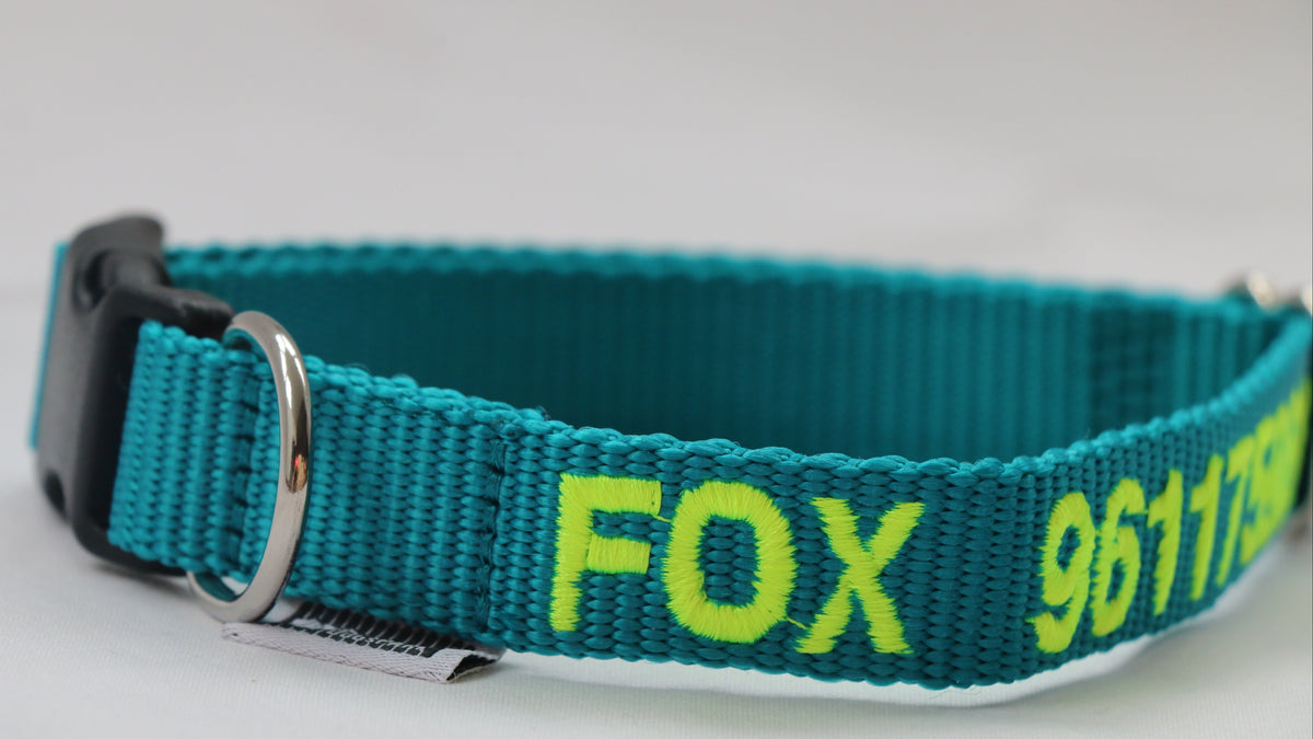DOGsPARK Custom embroidered Teal dog collar, 2cm Wide. Handmade in Portugal