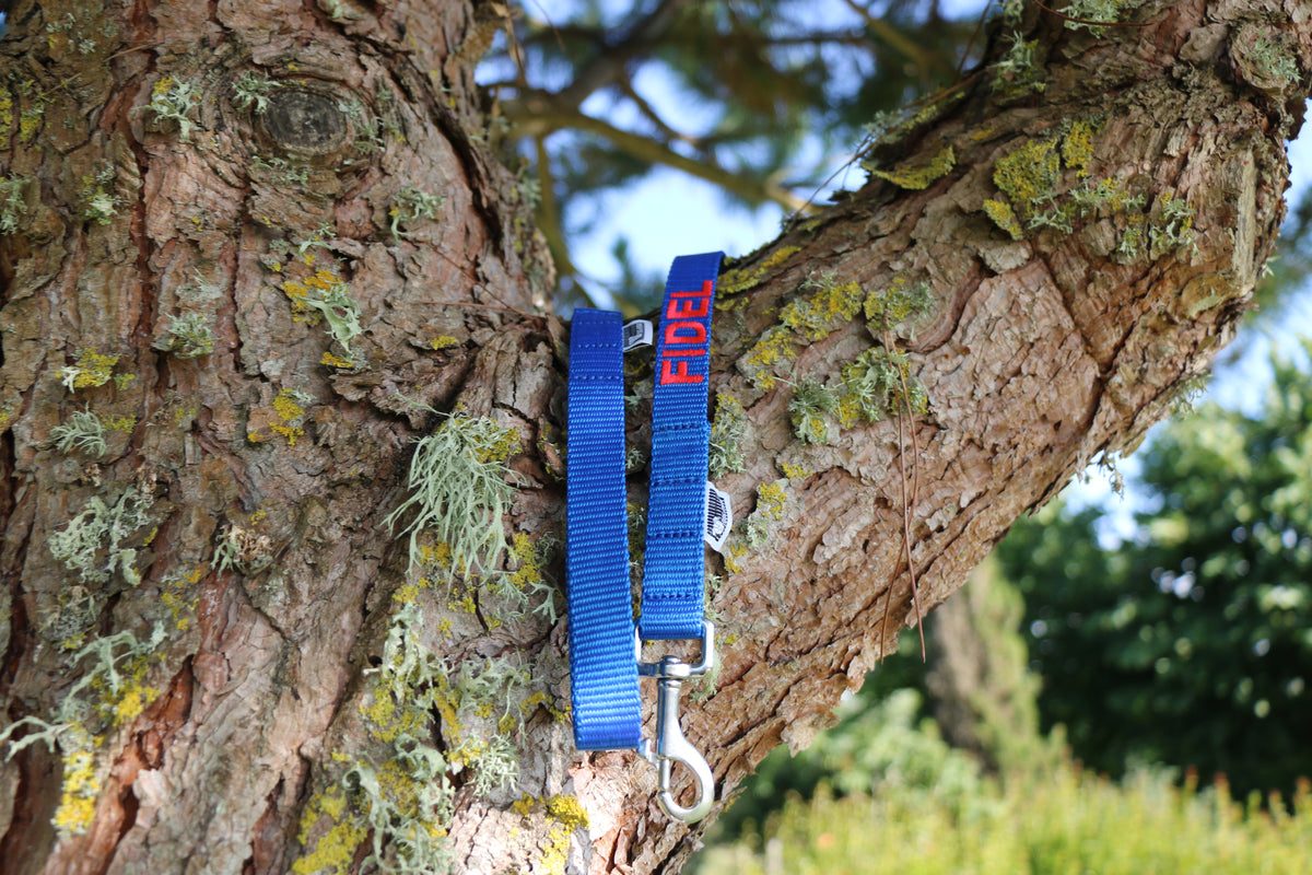 DOGsPARK Custom embroidered blue dog leash, 2cm wide. handmade in Portugal