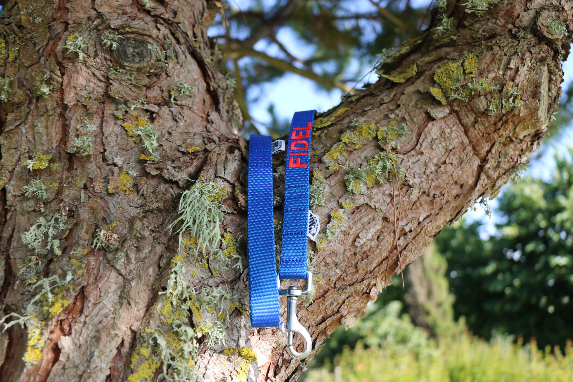 DOGsPARK Custom embroidered blue dog leash, 2cm wide. handmade in Portugal