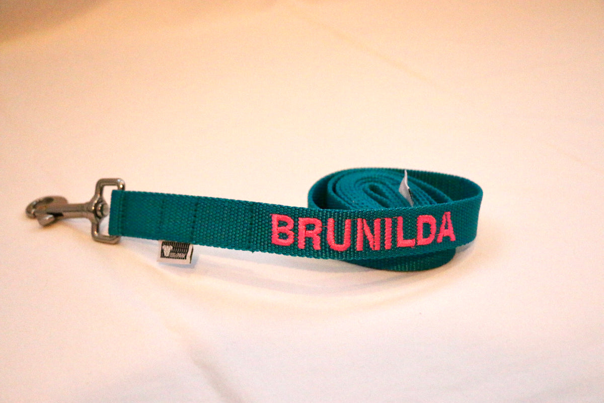 DOGsPARK  Custom embroidered teal dog leash, 2,5cm wide. handmade in Portugal