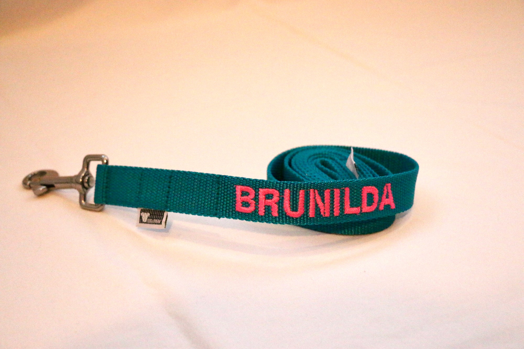 DOGsPARK  Custom embroidered teal dog leash, 2,5cm wide. handmade in Portugal