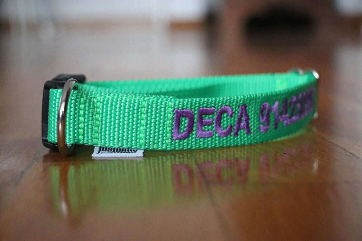 DOGsPARK Custom embroidered Fluorescente/Neon GREEN dog collar, 2,5cm Wide. Handmade in Portugal