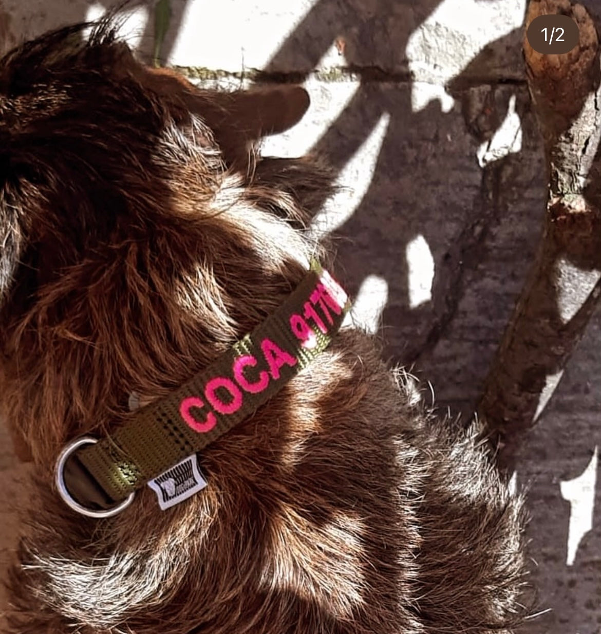 DOGsPARKCustom embroidered OLIVE dog collar, 2cm Wide. Handmade in Portugal