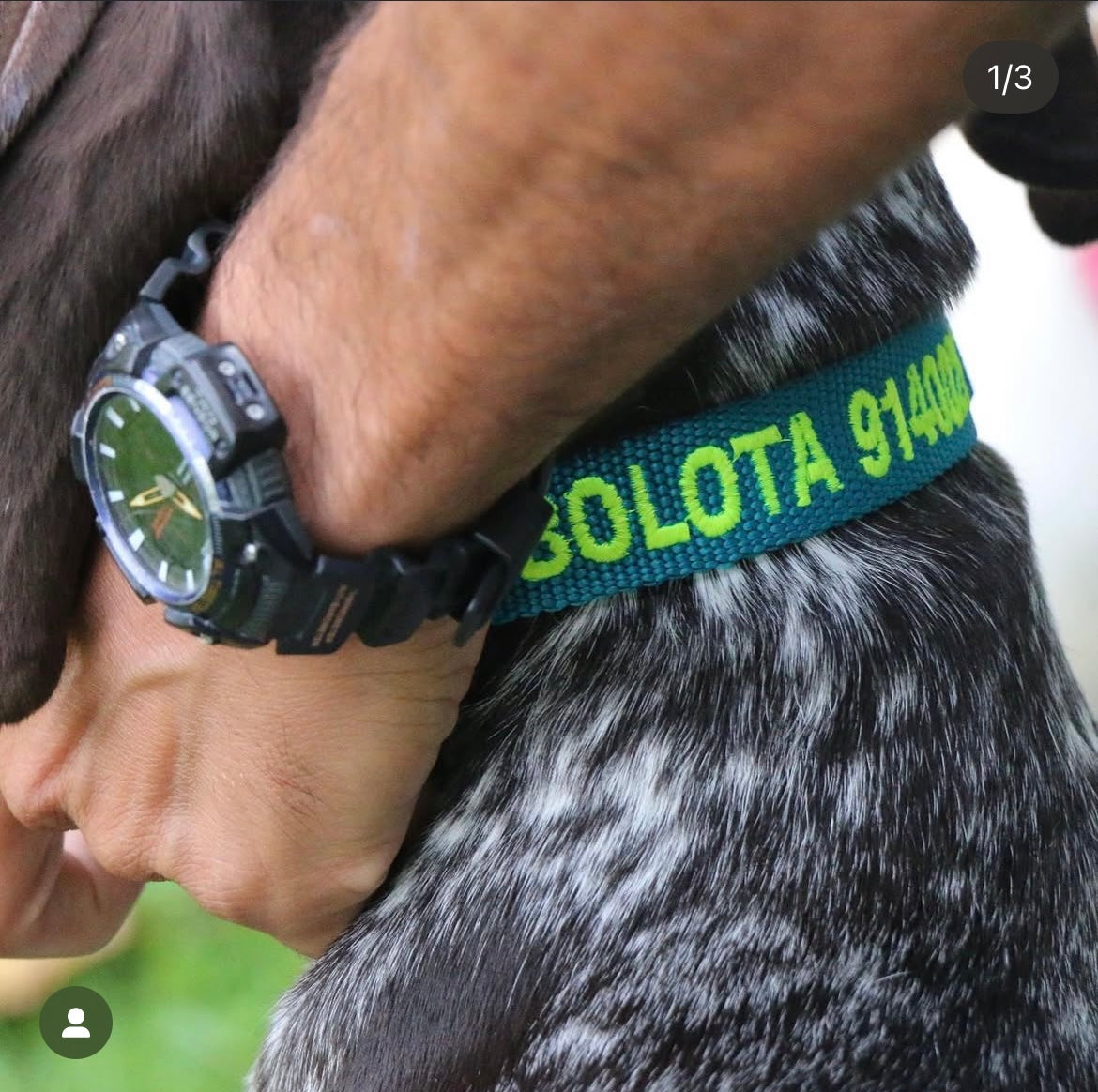 DOGsPARK Custom embroidered TEAL dog collar, 2,5cm Wide. Handmade in Portugal