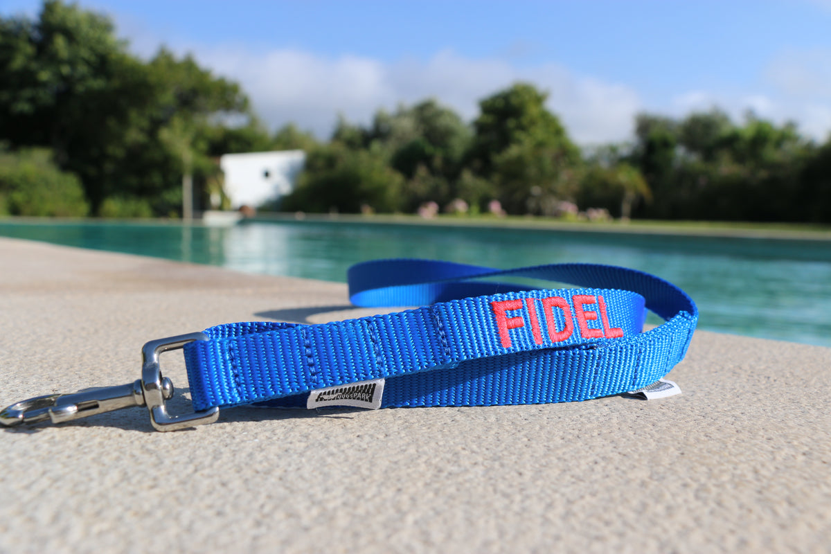 DOGsPARK Custom embroidered blue dog leash, 2cm wide. handmade in Portugal