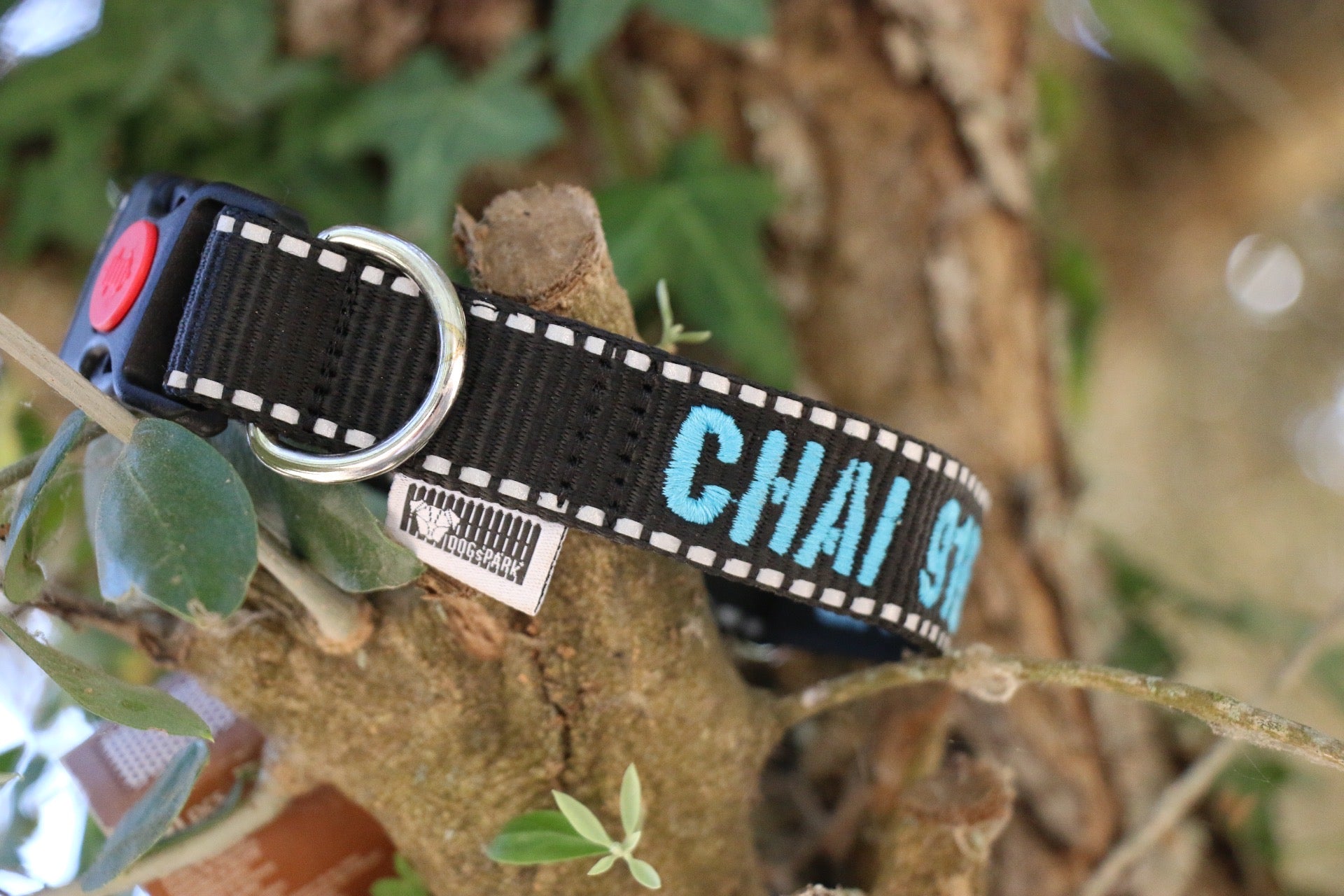DOGsPARK Custom embroidered BLACK dog collar with Reflective Piping, 2,5cm Wide. Handmade in Portugal
